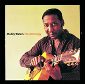 Got My Mojo Working (1956 Single Version) - Muddy Waters